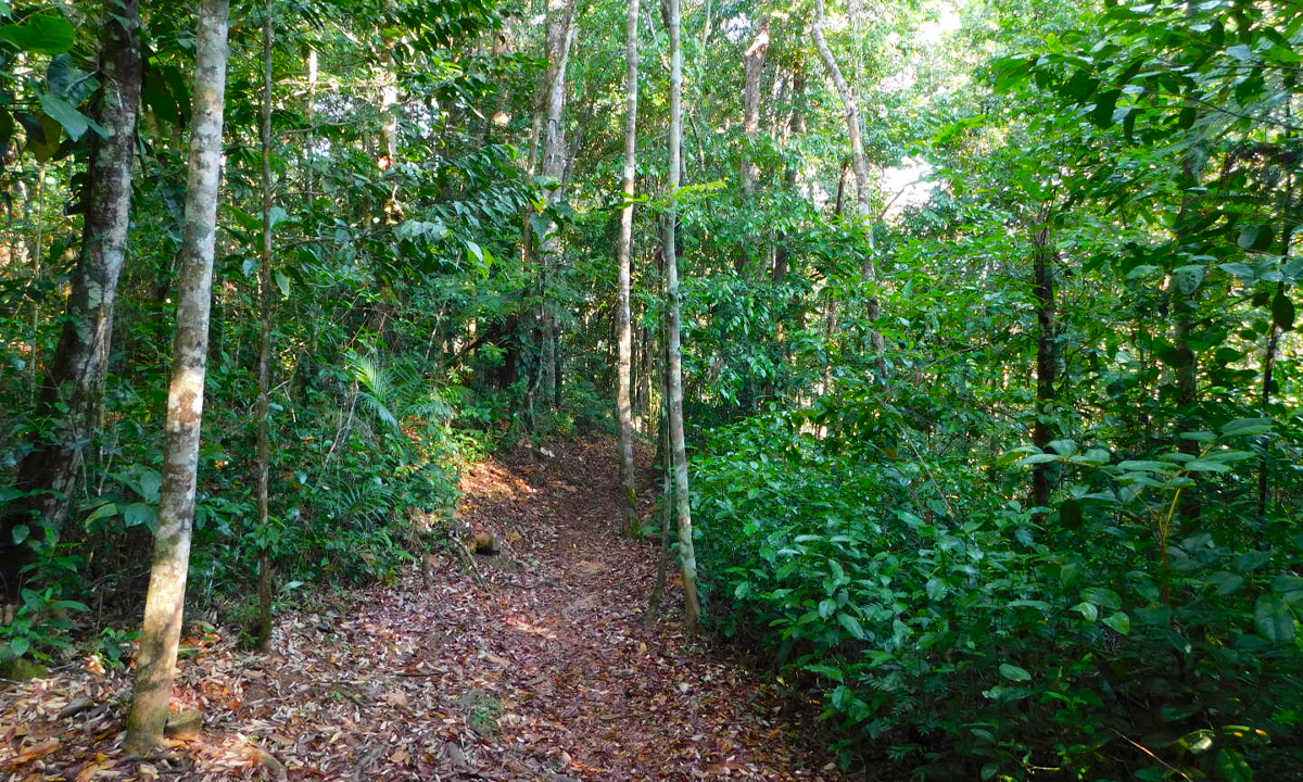 Cockscomb Nature Hike and River Tubing – B'ox Balum