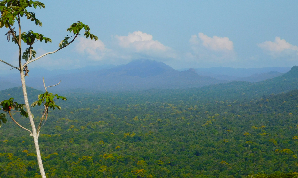 Cockscomb Nature Hike and River Tubing – B'ox Balum